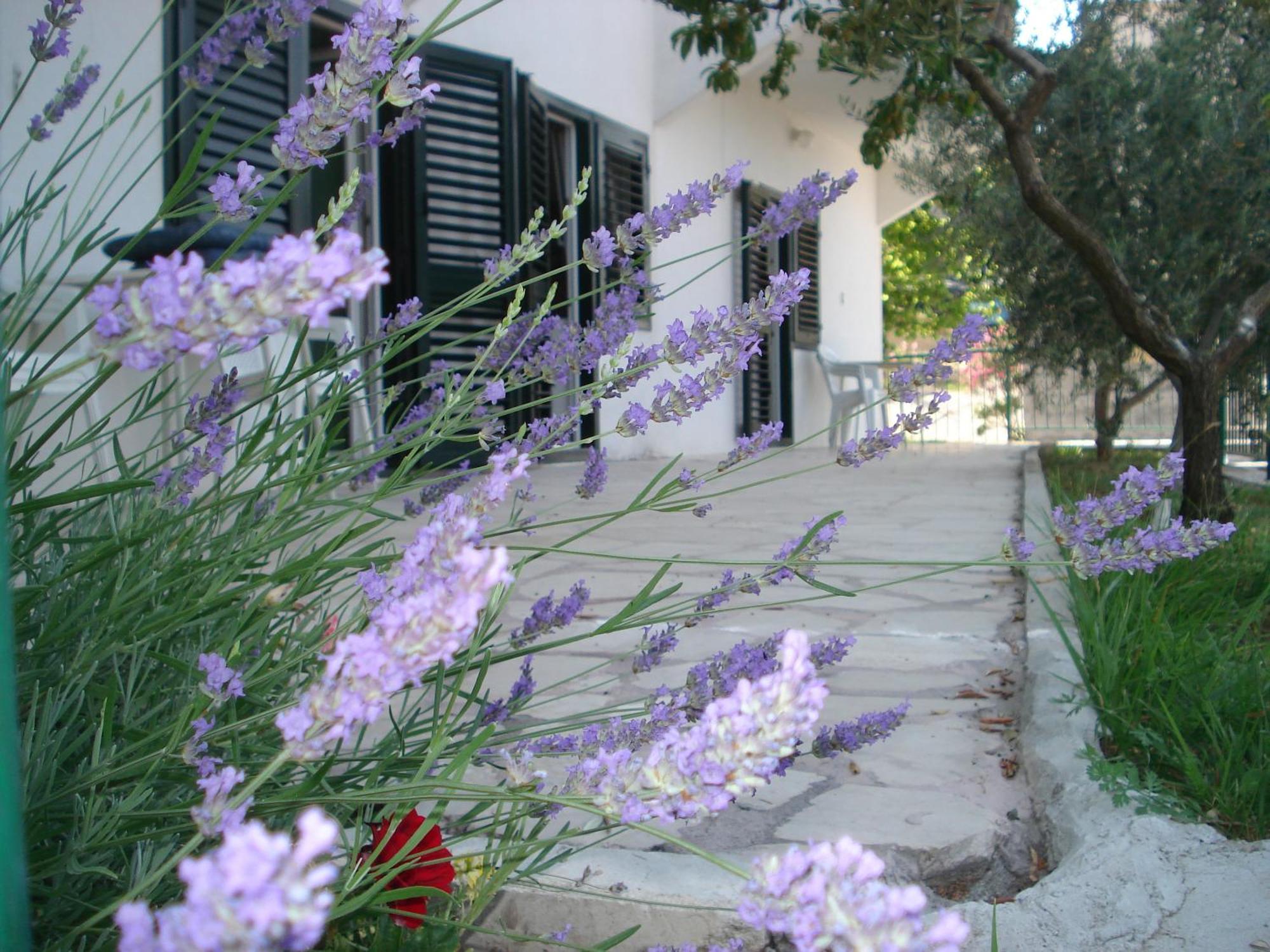 Apartments Smiljana Omis Ngoại thất bức ảnh